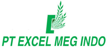 EXCEL MEG INDO, PT