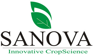 SANOVA, PT